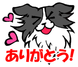 Border Collie Mikan sticker #1768783
