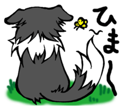Border Collie Mikan sticker #1768792