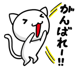 super white kitten sticker #1776573