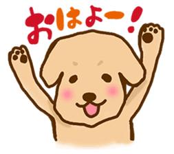 Rakkun sticker #1777329