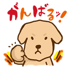 Rakkun sticker #1777338