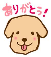 Rakkun sticker #1777339