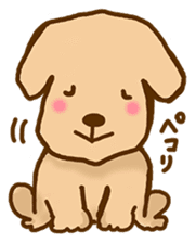 Rakkun sticker #1777341