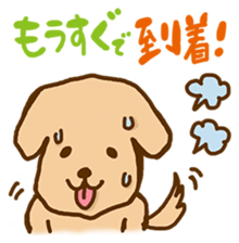 Rakkun sticker #1777354