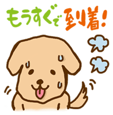 Rakkun sticker #1777354