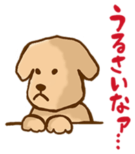 Rakkun sticker #1777364