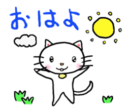 cat cat always sticker #1779529