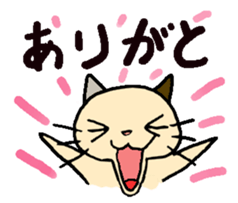 cat cat always sticker #1779535