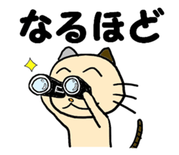 cat cat always sticker #1779542