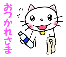 cat cat always sticker #1779558