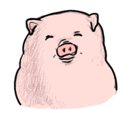 Pig simmering sticker #1782504