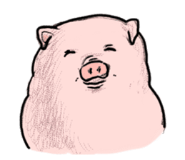 Pig simmering sticker #1782504