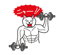 White Cat Challenge sticker #1782957