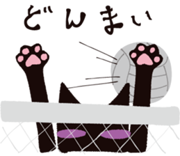 Tail of the black cat 2nd sticker #1784776