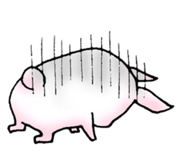 Feeble rabbit sticker #1787161