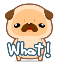 Pug You (En) sticker #1787892