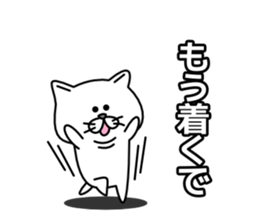 Loose a little white cat sticker #1791704