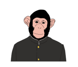 Students of monkeys. sticker #1793161