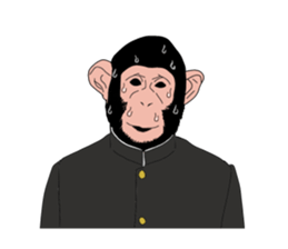 Students of monkeys. sticker #1793166