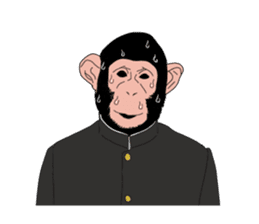 Students of monkeys. sticker #1793166