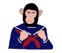Students of monkeys. sticker #1793180