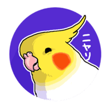 Happy days together with MARU 2 sticker #1794622