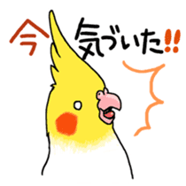 Happy days together with MARU 2 sticker #1794631