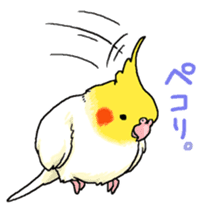 Happy days together with MARU 2 sticker #1794633