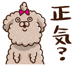 Mokopooh The Toy Poodle (scheming) sticker #1799731
