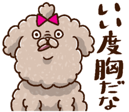 Mokopooh The Toy Poodle (scheming) sticker #1799758