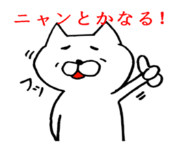 cat positive sticker #1806401