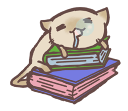 Syacyo-100 looks sticker #1807457