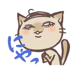 Syacyo-100 looks sticker #1807478