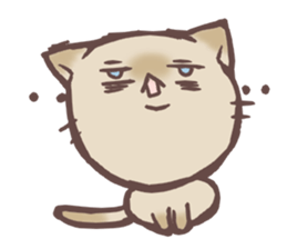 Syacyo-100 looks sticker #1807480