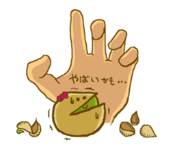 Pisco & tachio sticker #1808248