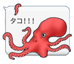 Octopus and  cat sticker #1808627