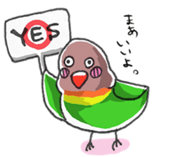 Poe copy of lovebird and budgerigar sticker #1809001