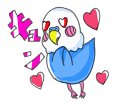 Poe copy of lovebird and budgerigar sticker #1809003