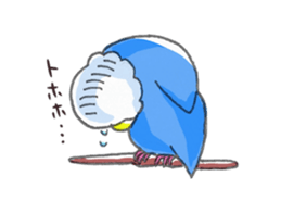Poe copy of lovebird and budgerigar sticker #1809004