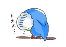 Poe copy of lovebird and budgerigar sticker #1809004