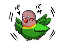 Poe copy of lovebird and budgerigar sticker #1809007