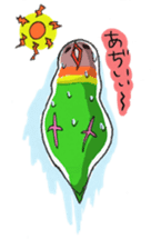 Poe copy of lovebird and budgerigar sticker #1809009