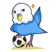 Poe copy of lovebird and budgerigar sticker #1809015