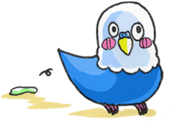 Poe copy of lovebird and budgerigar sticker #1809020
