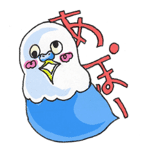 Poe copy of lovebird and budgerigar sticker #1809022