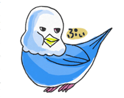 Poe copy of lovebird and budgerigar sticker #1809024