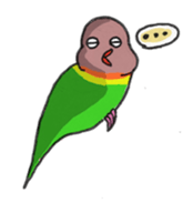 Poe copy of lovebird and budgerigar sticker #1809027