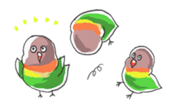 Poe copy of lovebird and budgerigar sticker #1809033