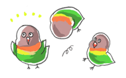 Poe copy of lovebird and budgerigar sticker #1809033
