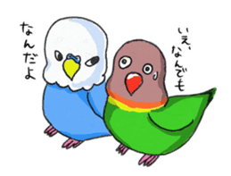 Poe copy of lovebird and budgerigar sticker #1809040